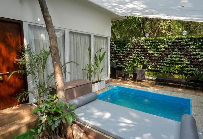 配有游泳池的小型套房, Swimup   Suites With Private Pool , Vagator