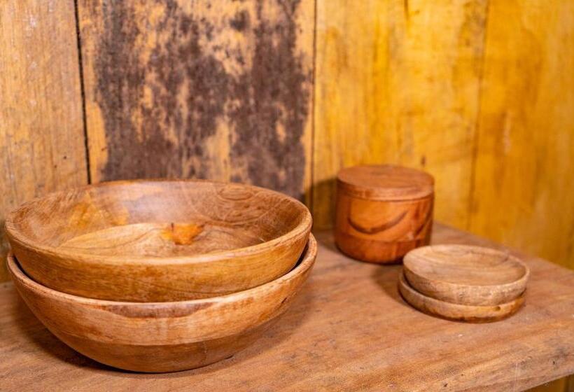 Номер Стандарт Вид на Сад, Aparthotel Ayahuaska For Solo Travelers