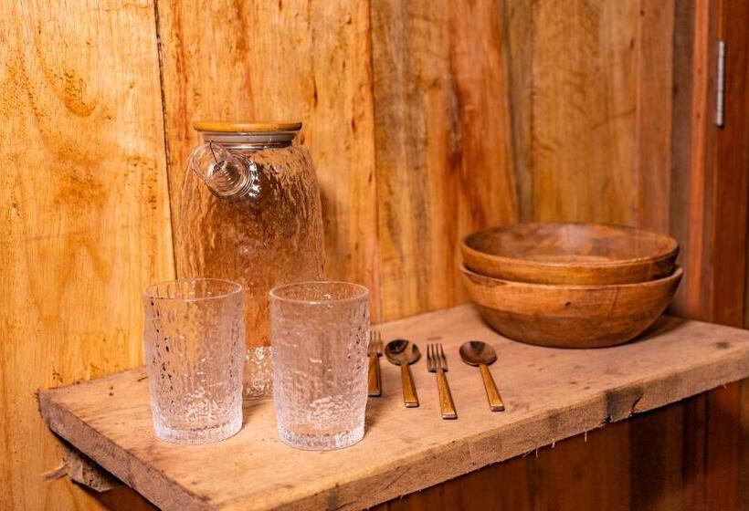 Номер Стандарт Вид на Сад, Aparthotel Ayahuaska For Solo Travelers