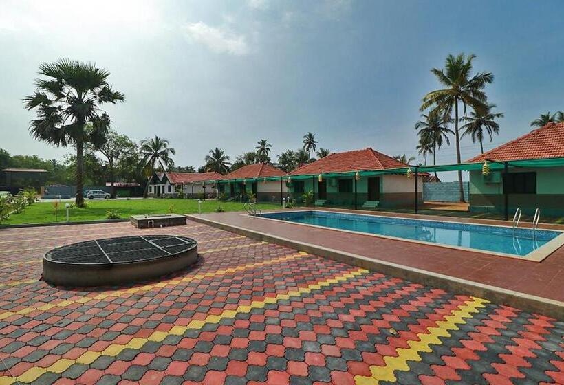 غرفة قياسية, Light House Beach Resort