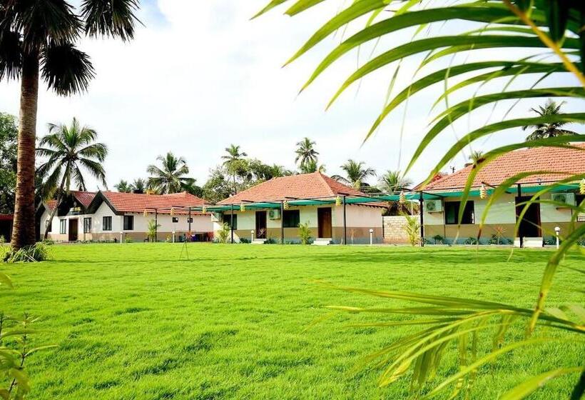 标准间, Light House Beach Resort