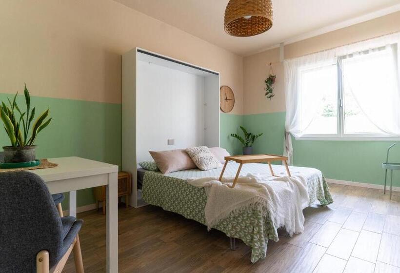 Номер Стандарт, Amagi Home
