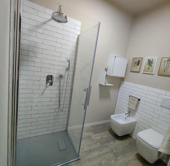 Номер Стандарт, Amagi Home