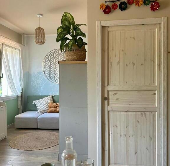 Номер Стандарт, Amagi Home