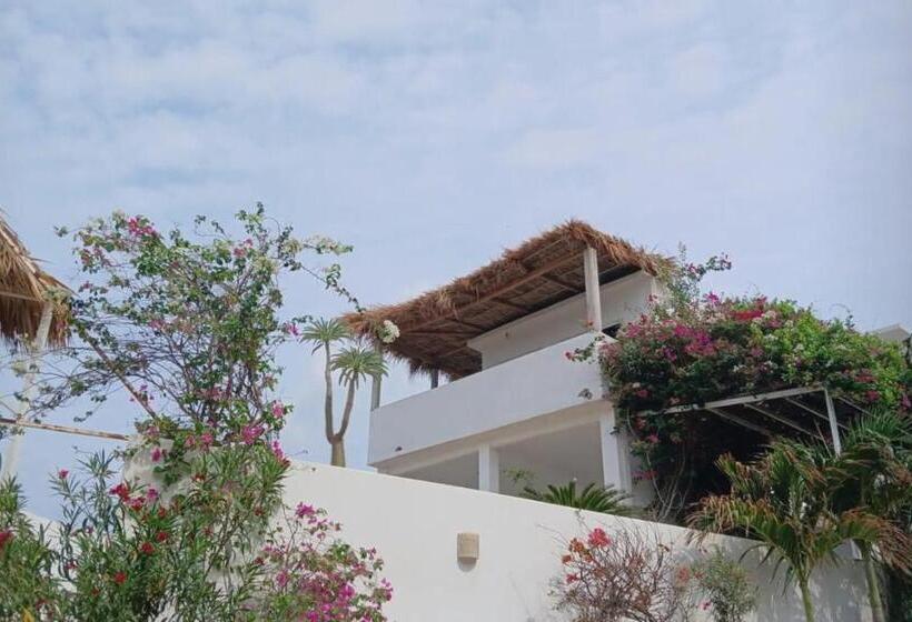 园景标准四人间, Bungalows Punta Conejo