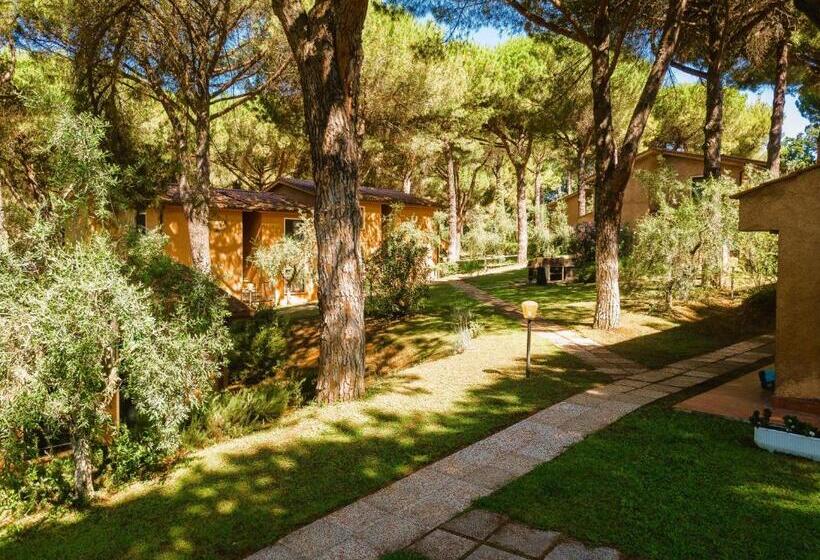 Апартаменты 1 Спальня с Балконом, Isa Residence With Swimming Pool In Guardistallo In The Middle Of Tuscan Nature