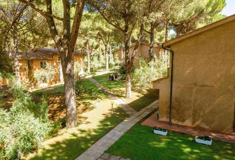 Апартаменты 1 Спальня с Балконом, Isa Residence With Swimming Pool In Guardistallo In The Middle Of Tuscan Nature