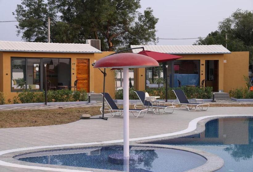 Номер Стандарт Вид на Бассейн, Skd Resort And Club
