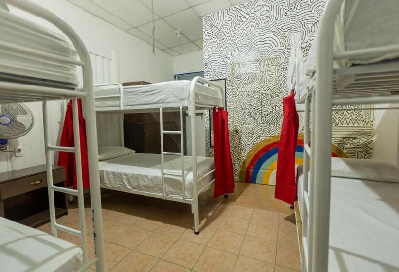 Кровать в Общей Комнате, Hostel Saltwater