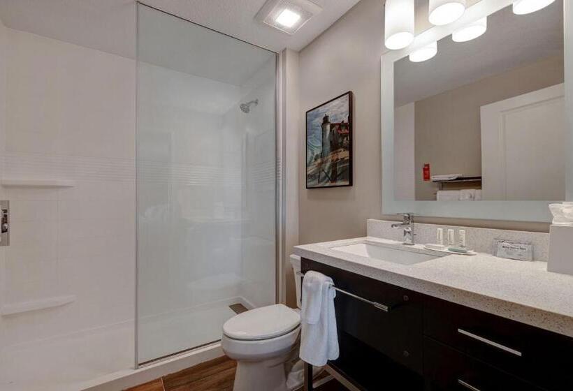Студио Стандарт Кровать Кинг, Towneplace Suites By Marriott Monroe