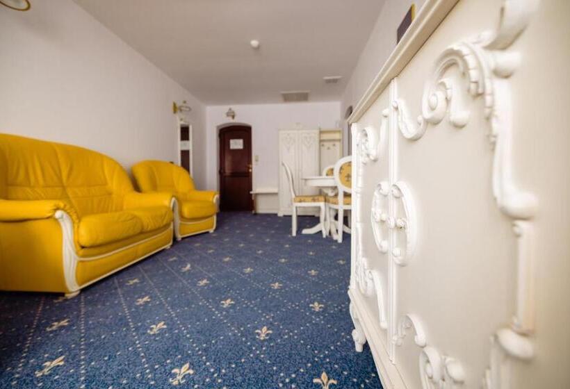 Апартаменты 1 Спальня, Complex Vața Băi