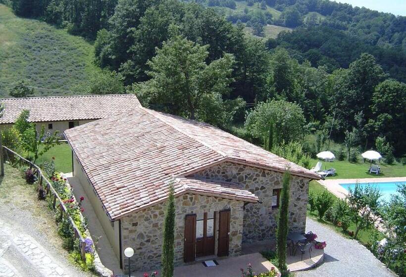 Апартаменты 1 Спальня, Podere Le Ghiande, Granaio N°9