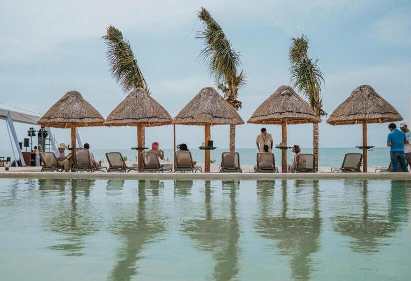 带海景的标准房, Tótem Beach Club