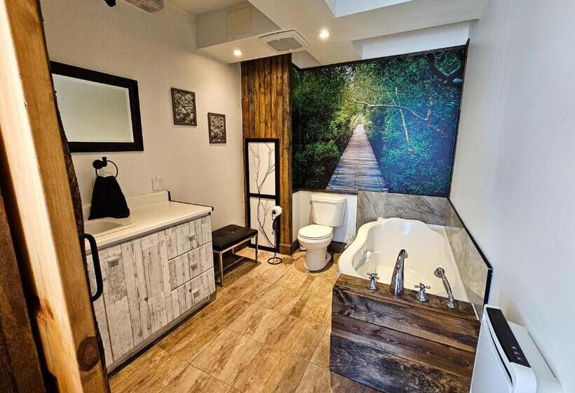 Трехместный Номер Базовый, Gite Touristique Eaux Bons Vievents