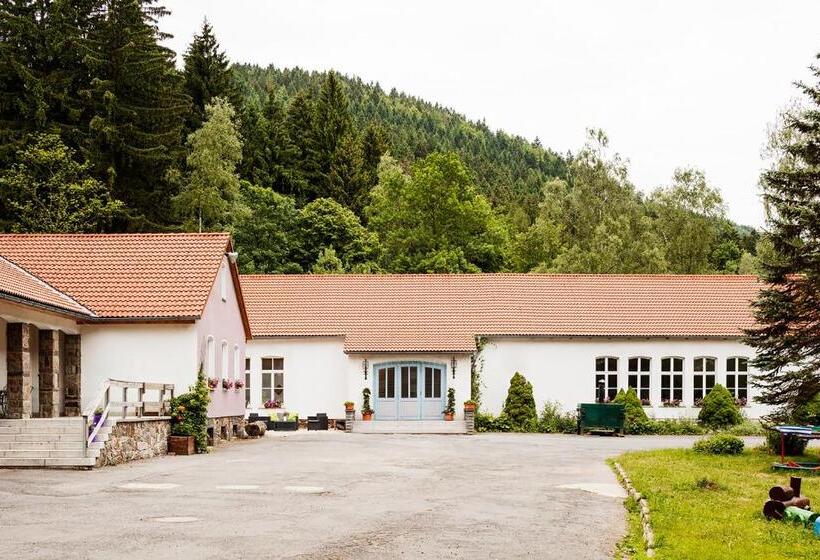 Номер Стандарт, Ferienpark Thüringer Wald