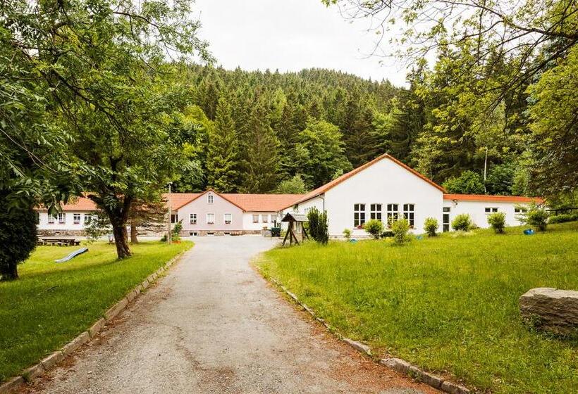 Номер Стандарт Индивидуальный Совместная Ванная, Ferienpark Thüringer Wald
