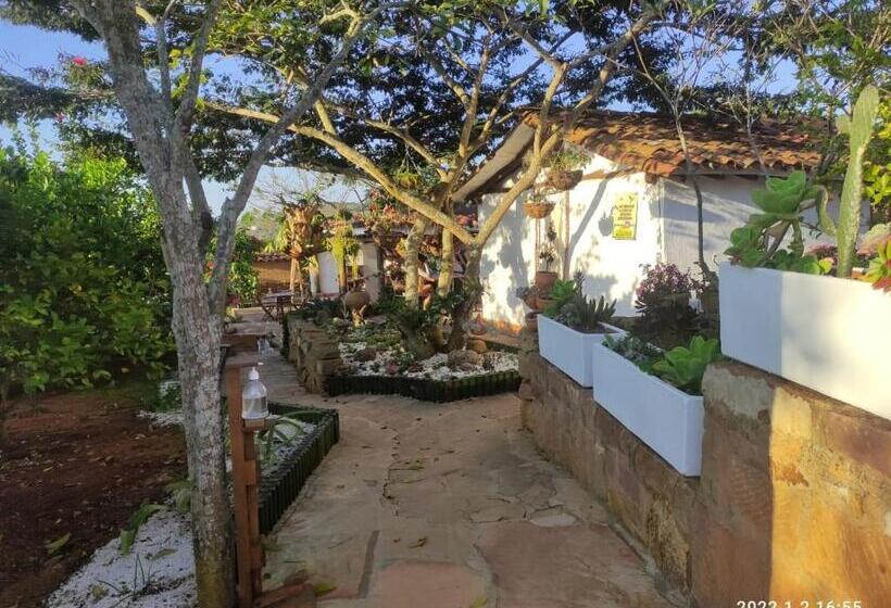 Family Suite, Eco