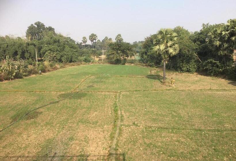 اتاق استاندارد, Sachi Home