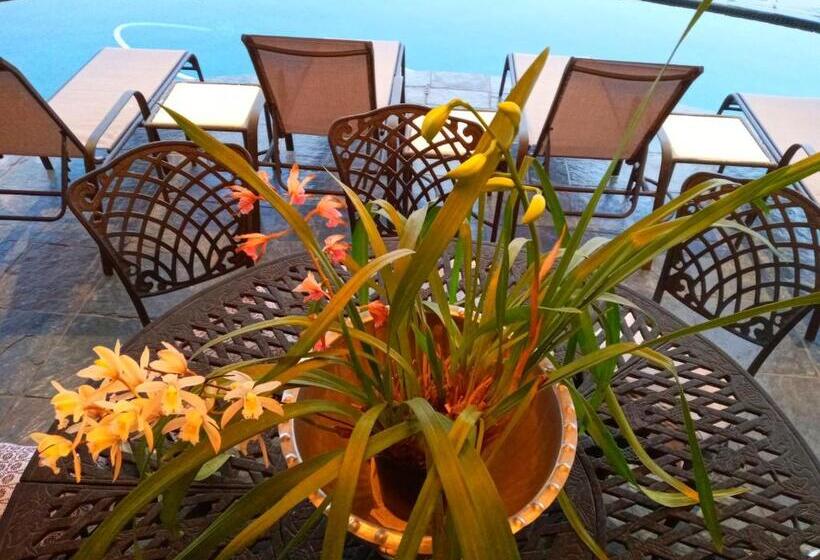 Студио Стандарт Кровать Кинг, Whale Rock Guest House
