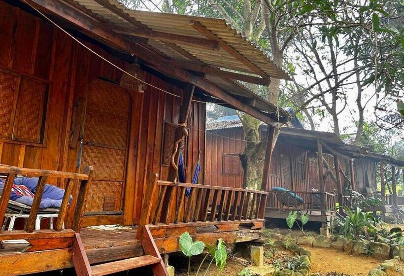 Семейное Бунгало, Easy Tiger Garden Bungalows   By Beach House Cambodia