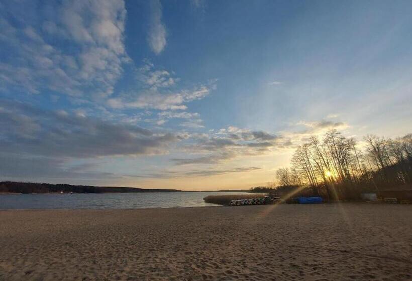 Номер Стандарт, Vitalia