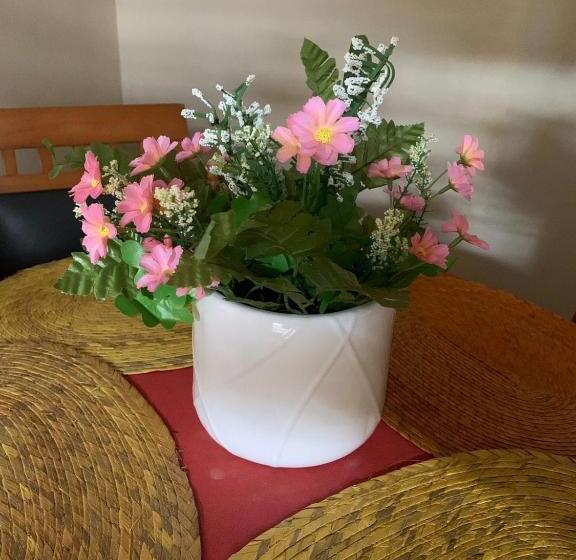 اتاق استاندارد, Hostal Casa Antigua Santa Ana
