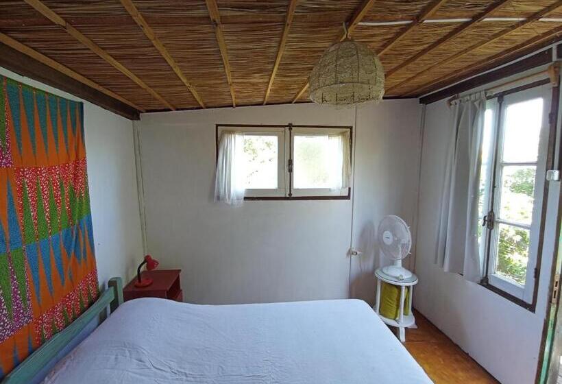 스탠다드 룸 공동 욕실, Nature Hostel