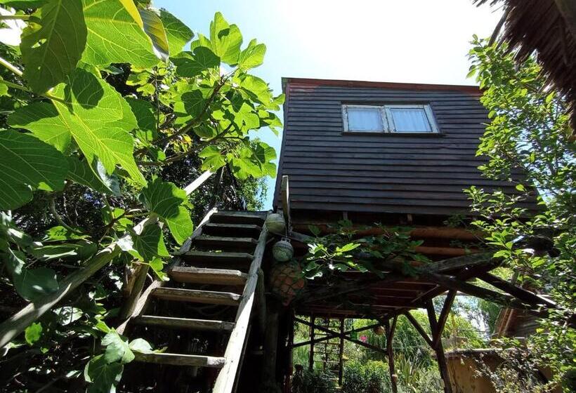 스탠다드 룸 공동 욕실, Nature Hostel