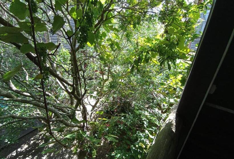 스탠다드 룸, Nature Hostel