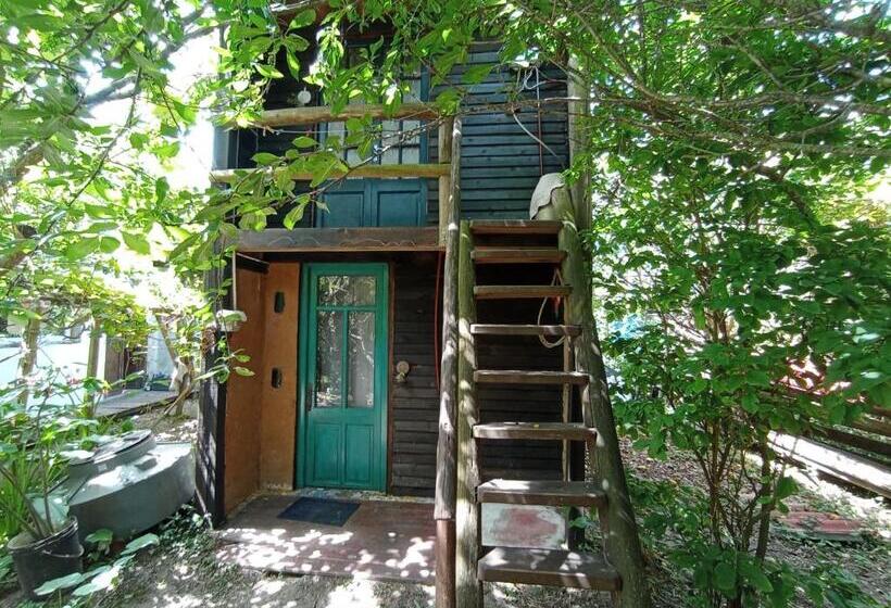 스탠다드 룸, Nature Hostel