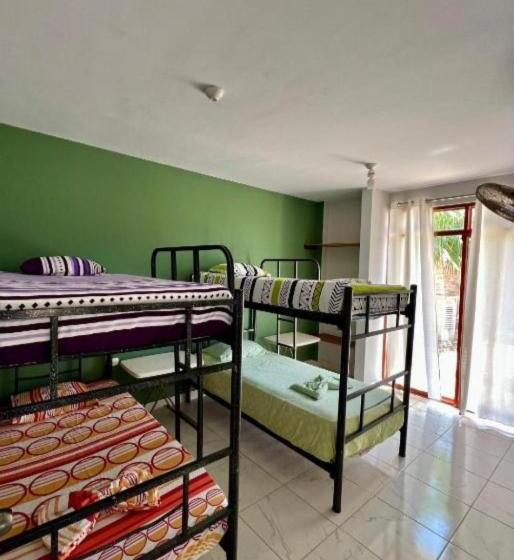 Четырехместный Номер Стандарт, Pascana Casa Playa
