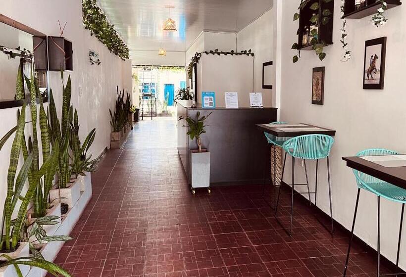 스탠다드 룸, Casa Cabieles Hostal