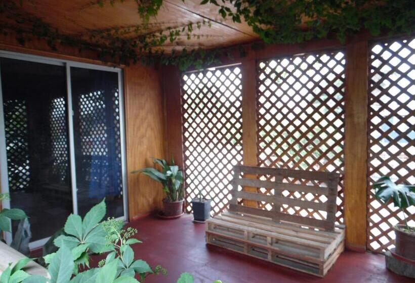 اتاق استاندارد با تراس, Molino Rojo Hostel