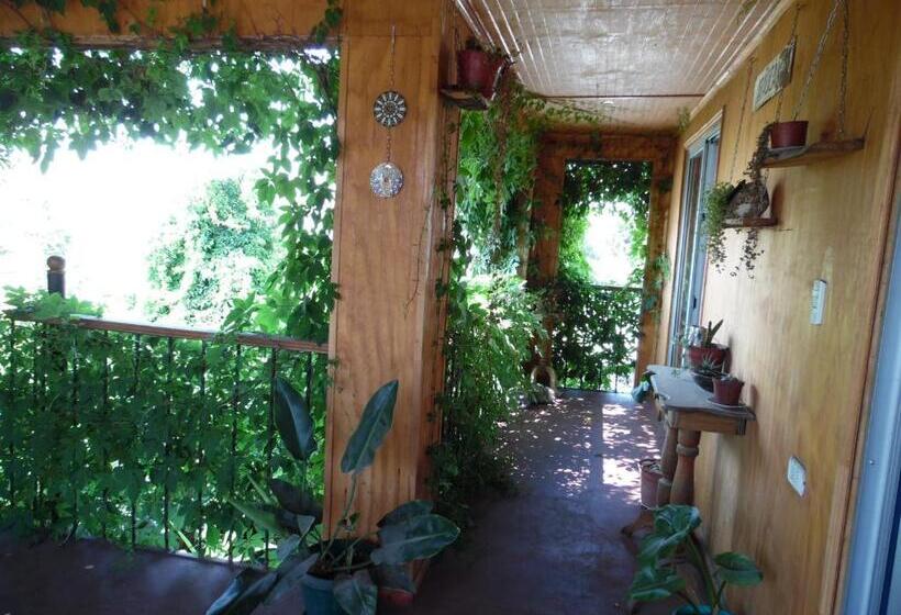 اتاق استاندارد با تراس, Molino Rojo Hostel