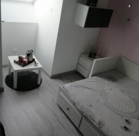 Номер Стандарт, Location 24h Le Mans