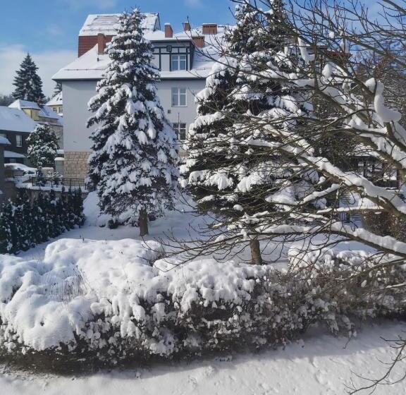 Номер Стандарт Трехместный, Villa Lessing