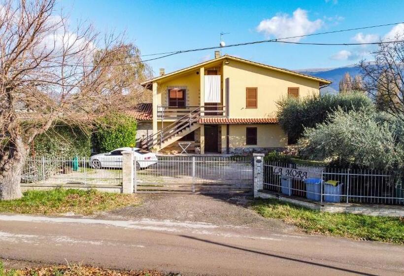 Апартаменты 1 Спальня, Agriturismo La Mora   Gemelli