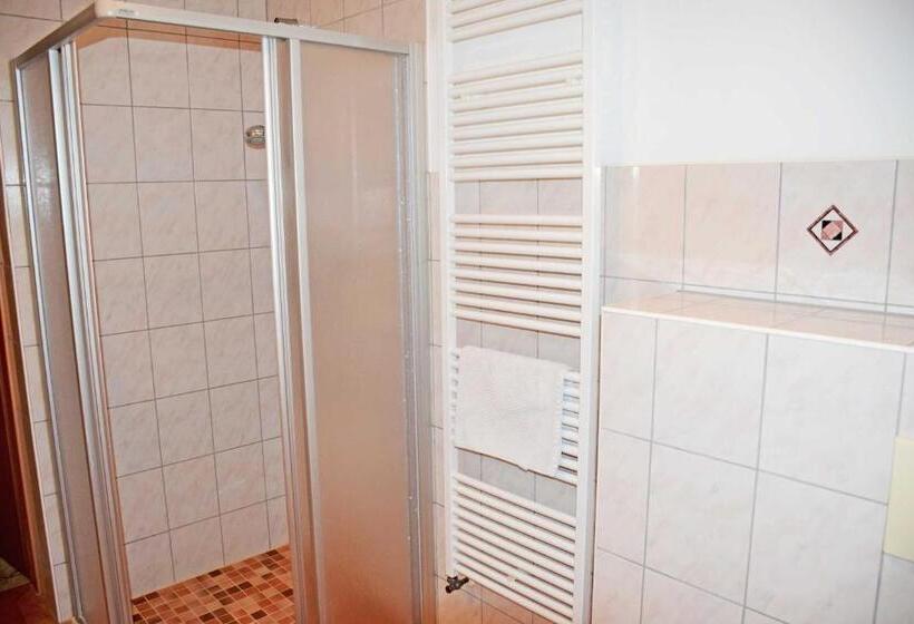 Апартаменты 1 Спальня с Террасой, Ferienappartements Familie Lenz