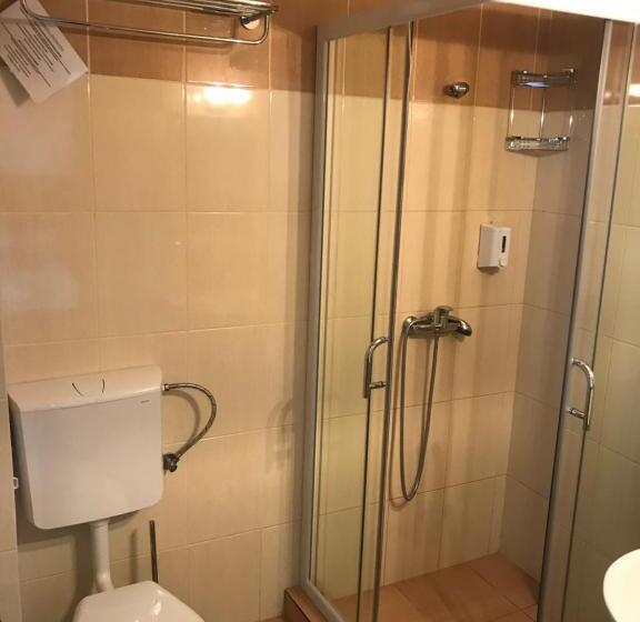 Номер Стандарт, Vila Medeea