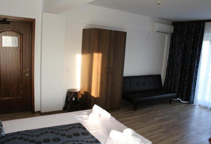 Номер Стандарт, Vila Medeea