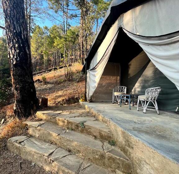 Standard Tent, Glampinn Woods