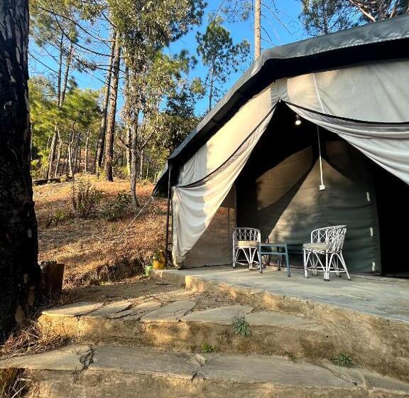 Standard Tent, Glampinn Woods