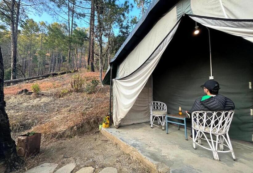 Standard Tent, Glampinn Woods