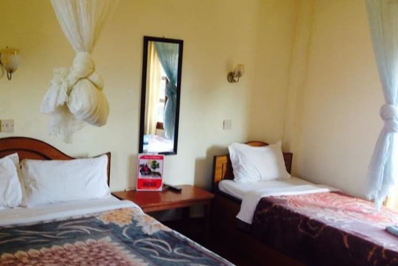 اتاق استاندارد, Jungle Vista