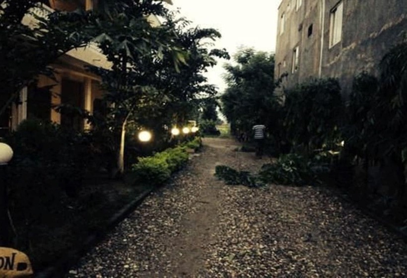 اتاق استاندارد یک نفره, Jungle Vista