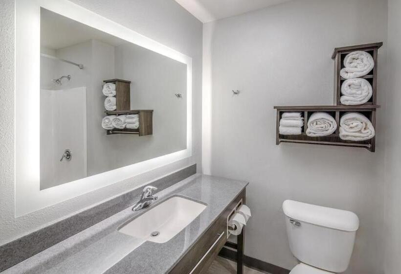 Номер Стандарт Адаптированный для Инвалидов, My Place Hotel Grand Rapids Mn