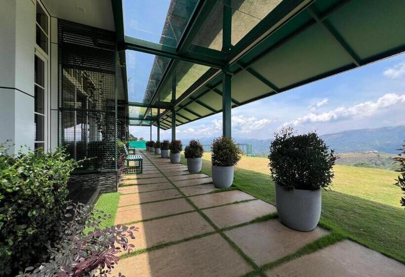 Family Suite, Cloudy Court Resort