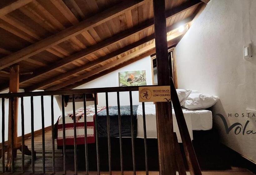 Номер Deluxe, Volarte Hostal