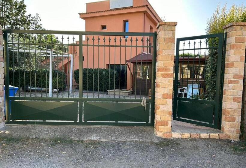 اتاق استاندارد, T Addormento