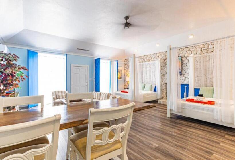 استودیوی استاندارد با چشم‌انداز دریا, Studio Palms Bc